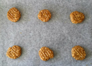 ANZAC BISCUITS 5