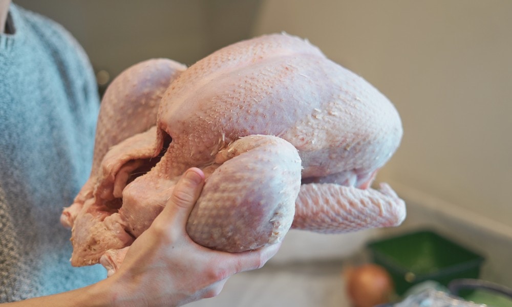 Factors Affecting the Storage Life of a Fresh Turkey - Temperature