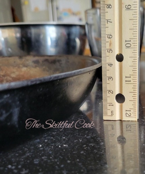 Misen stainless steel pan review (After 6 months of use)