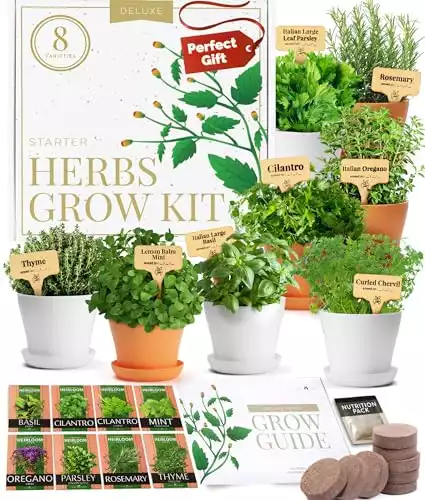 HOME GROWN Deluxe Herb Garden Kit