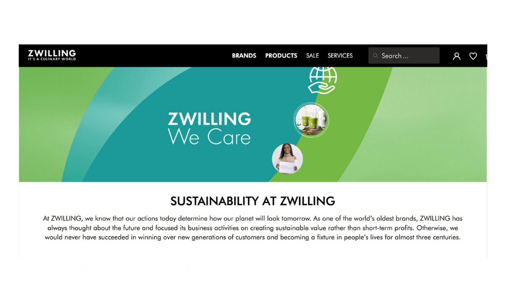Company and Environmental Impact of Zwilling - Staub Parent Company